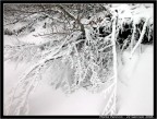 Monte Pennino Monte Pennino