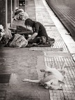 Francamente avrei stretto sul soggetto, ma sarebbe stata la solita scena da strada...la curiosa postura del cane dormiente l'ha resa forse pi interessante e ci mi ha convinto postarla.
Tagliato il frame a met si formano due foto a se stanti.. la foto sembra formata dall'unione di due figure, prima incontri l'una poi l'altra..
un saluto
Paolo