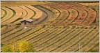 Geometrie Lagarine.