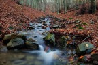 Rosso Autunnale