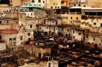 Fes (Marocco)