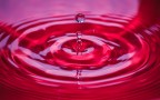 Drop Drop