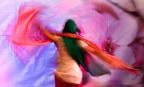 armonia armonia