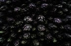 Carciofi Carciofi