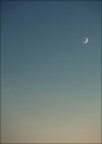 Venere splende