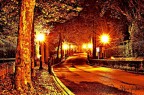 viale alberato