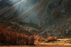 Fleeting light