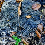 Starry Night Starry Night