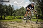 Ciclocross|Ulivi Ciclocross|Ulivi