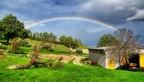 Rainbow Rainbow