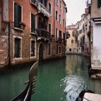 Calla a Venezia Calla a Venezia