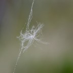 Leggerezza Leggerezza