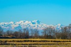 Risaie e cime innevate Risaie e cime innevate