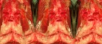 Spaventa Vegetariani ® 2013 Spaventa Vegetariani ® 2013