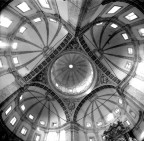 quadrifoglio quadrifoglio