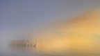 Fogs Fogs
