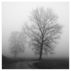 trasparenze padane trasparenze padane