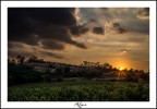 Tramonto sulle colline