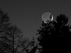 La luna stava rincorrendo il sole al tramonto, ma gli alberi l'hanno catturata :)