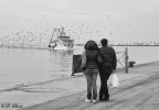 Ammirando insieme... Ammirando insieme...