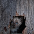 scoprendo il mondo ... scoprendo il mondo ...