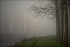 ...solo il rumore dei passi... ...solo il rumore dei passi...