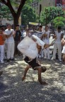 Capoeira 
Belo Horizonte, Minas Gerais, nei pressi di Pampulha.