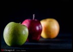APPPLES APPPLES