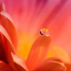 dentro.. il riflesso.. dentro.. il riflesso..