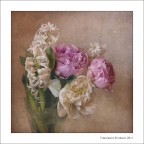 Voglia di Romanticismo Voglia di Romanticismo