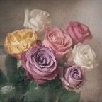 United Colors of 2014 United Colors of 2014