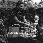 Fare nzerta Fare nzerta