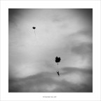 follow your Heart follow your Heart