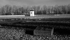 dachau 11 dachau 11