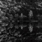 pedante ricerca tonale pedante ricerca tonale