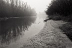 Morning fog