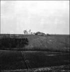 Senza titolo Senza titolo