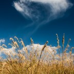 Paesaggio siciliano Paesaggio siciliano