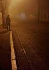 The fog The fog