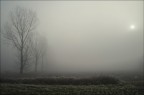 Luoghi senza voce...