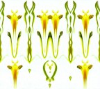 .... domani sarà primavera .... domani sarà primavera