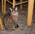 Ernestino. Ernestino.