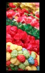 Sweet Sweet Color Sweet Sweet Color
