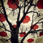 Piovono ombrelli Piovono ombrelli