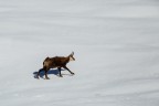 Walking on the snow