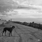 street photography #10# street photography #10#