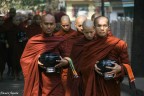 Monaci buddisti si recano alla mensa per l'unico pasto del giorno. Critiche ben accette