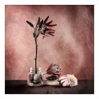 Resistenza Resistenza