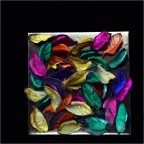 Forme e colori Forme e colori