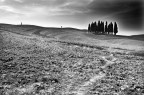 Toscana 5